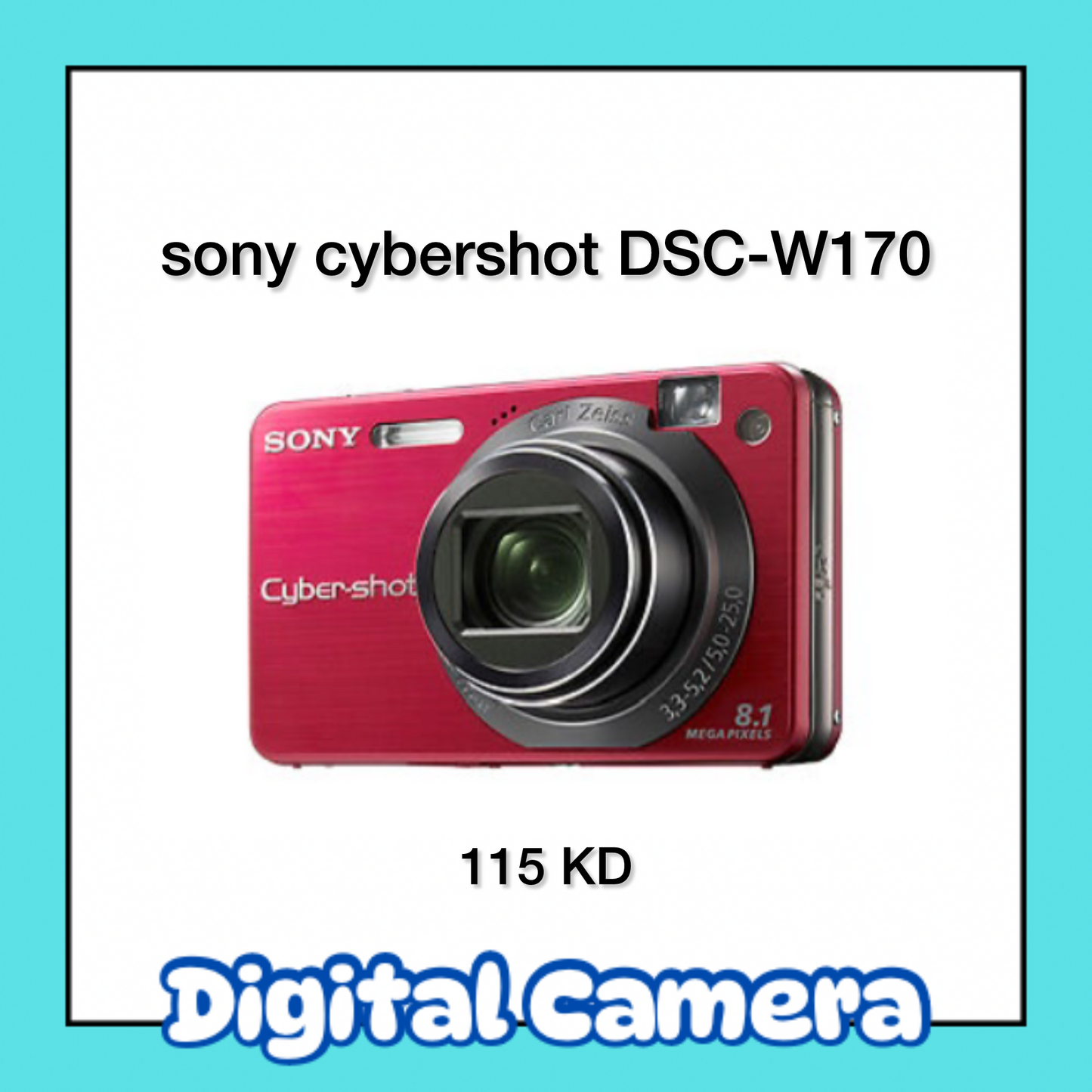 Sony cybershot DSC-W170